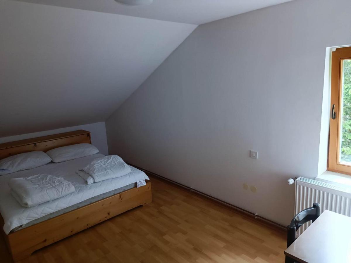 Valvasorjev Dom Pod Stolom Hostel Zirovnica Buitenkant foto